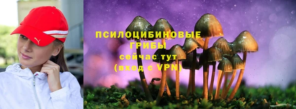 МДПВ Абаза