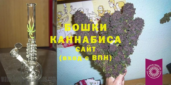 сатива Заволжье