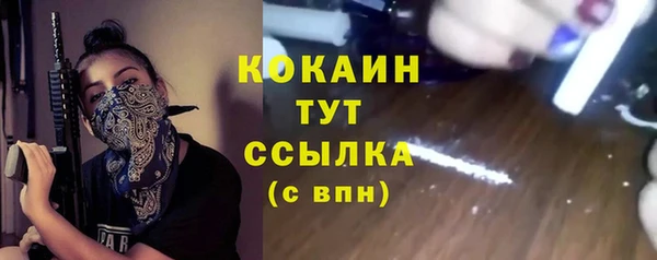 МДПВ Абаза